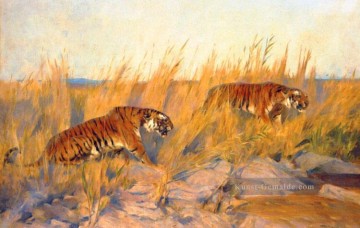  wardle Ölgemälde - Tiger Arthur Wardle